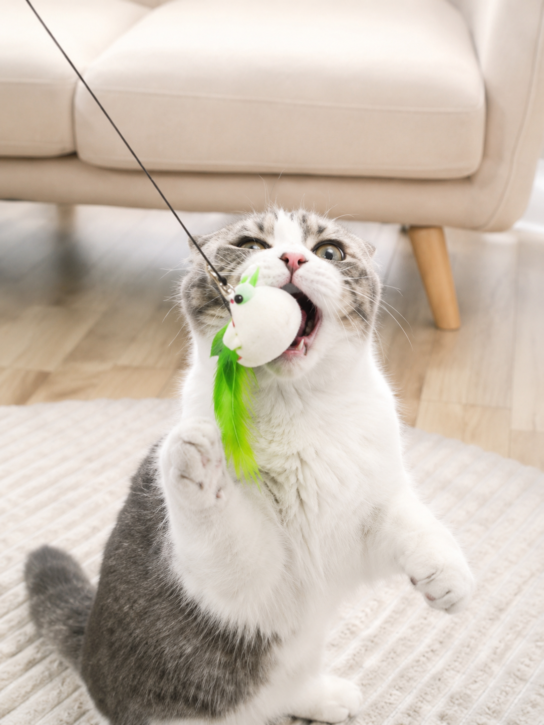PurrBird™ Wand Toy — Interactive Feather Wand for Cats